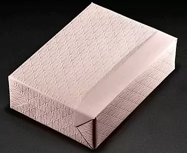 60566_01_g.webp
