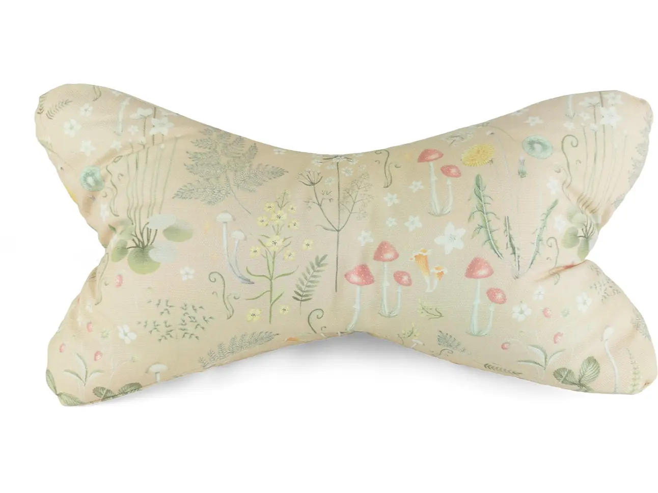 Leseknochen – Niedliche Pilzwelt