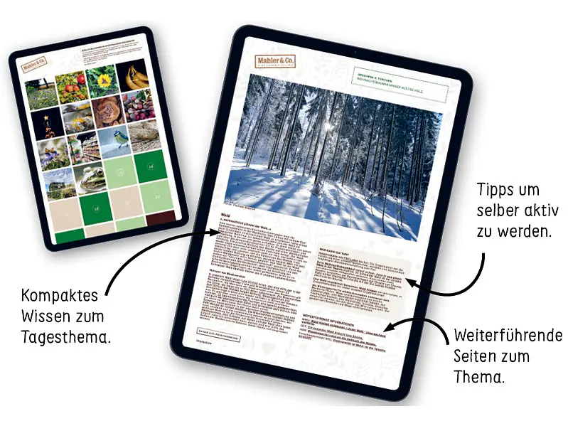 Biodiversitäts-Adventskalender