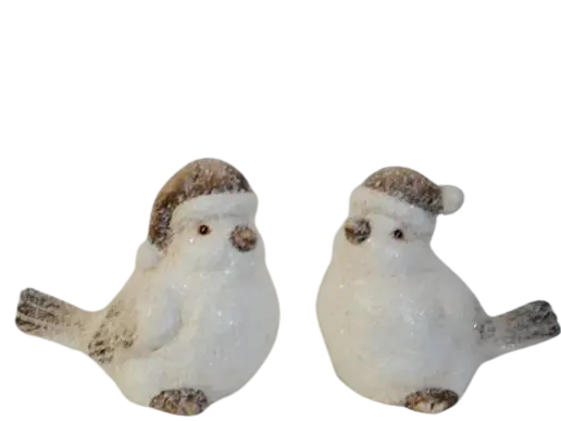 Wintervögel mit Mütze