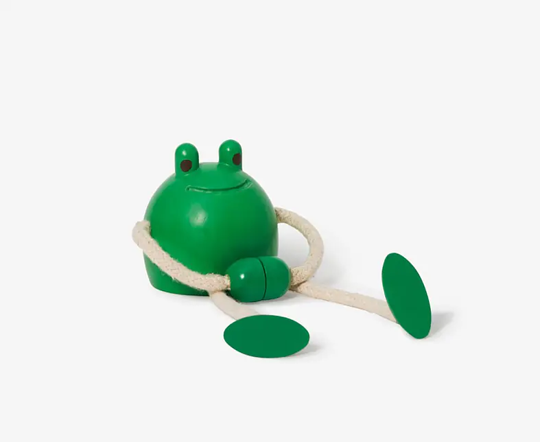 IC Design - Palimals frog.jpg