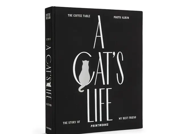 A Cat's Life Album
