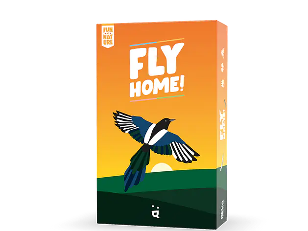 Fly Home