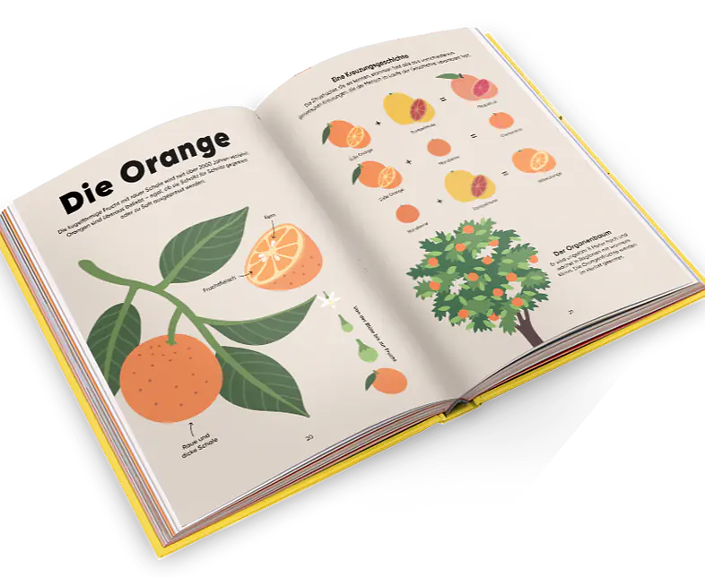 Natur-auf-dem-teller_spread_mockup_01.png