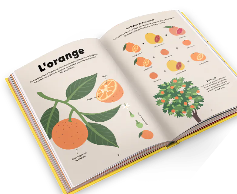 MIam-la-natur_spread_mockup_01.png