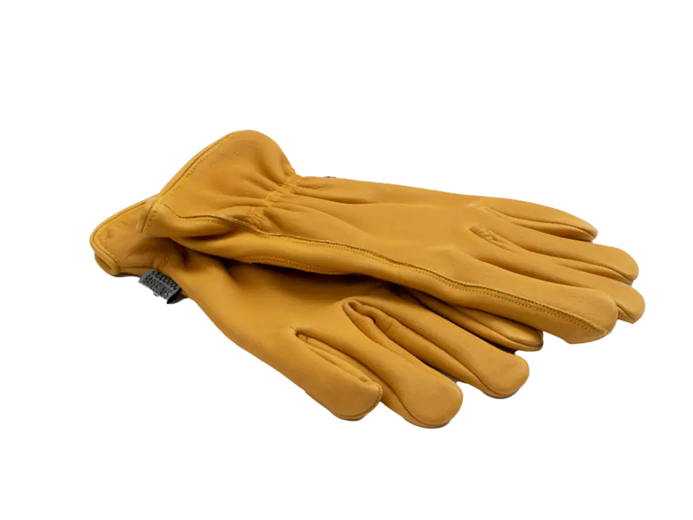 Barebones Classic Glove