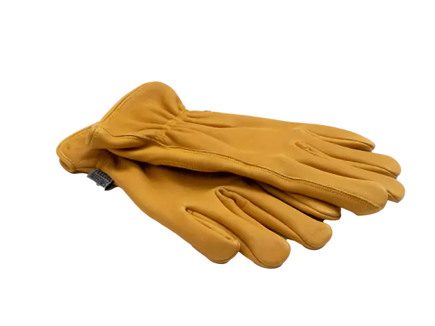 Barebones Classic Glove