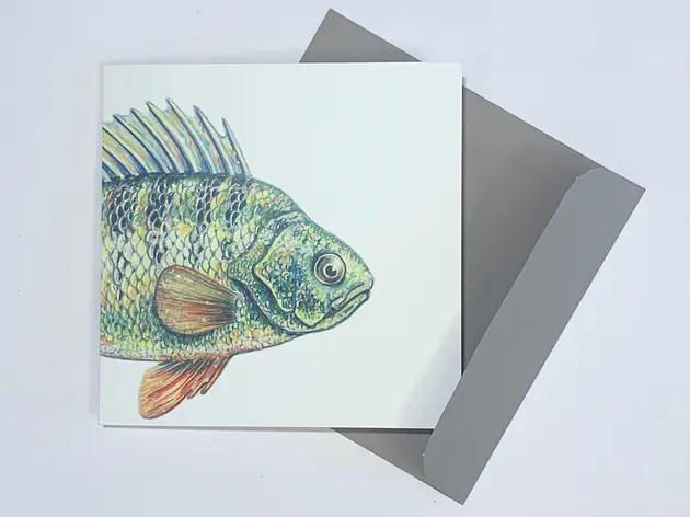  Egli Grusskarte Fisch