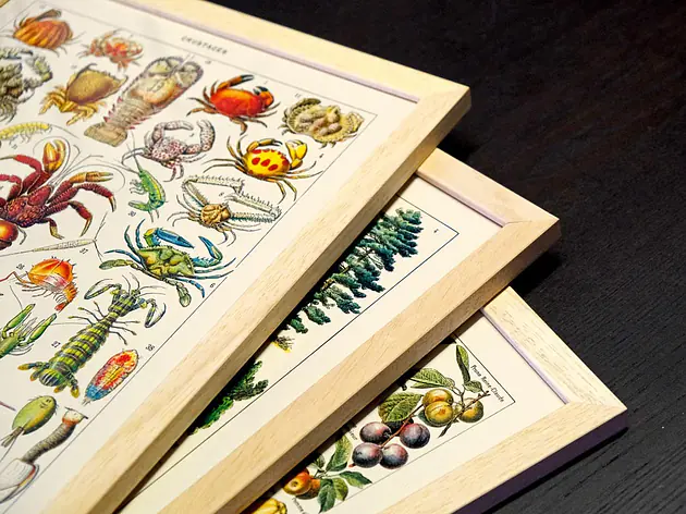 Collection "Reproductions"