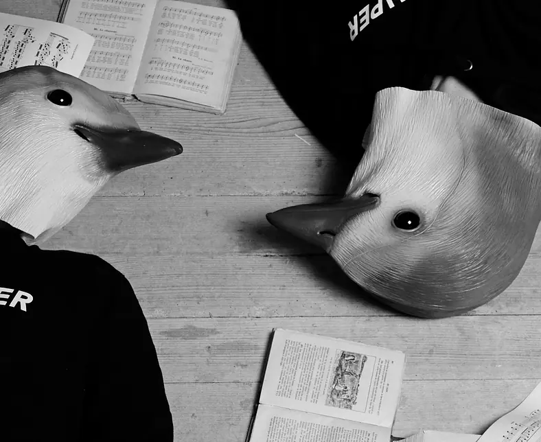 Portrait sol light.jpg