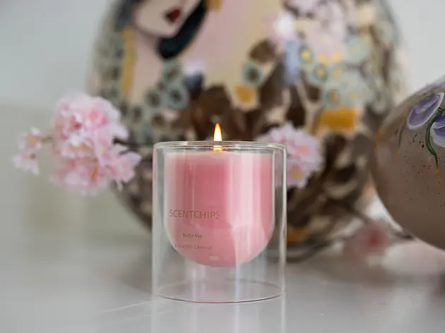 Candle in Double Walles Glass 496 gr La Vie 