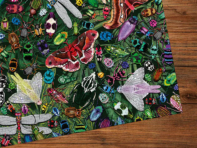 The Art File: Winged Wonders - 1000 Teile