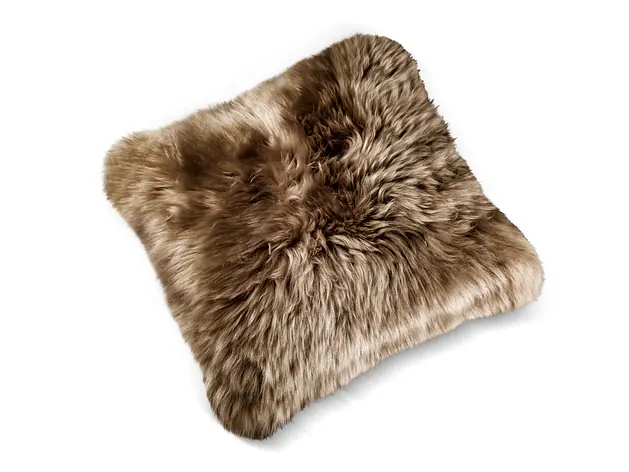 Coussin