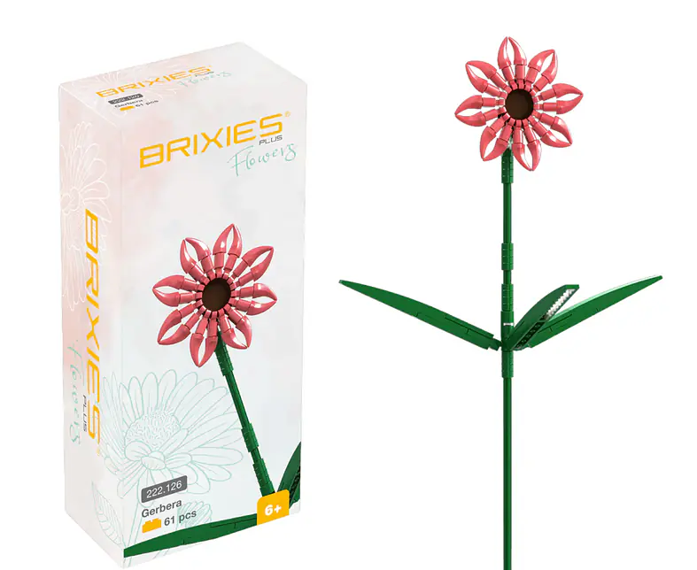 222126 Blume Gerbera Lachs.png