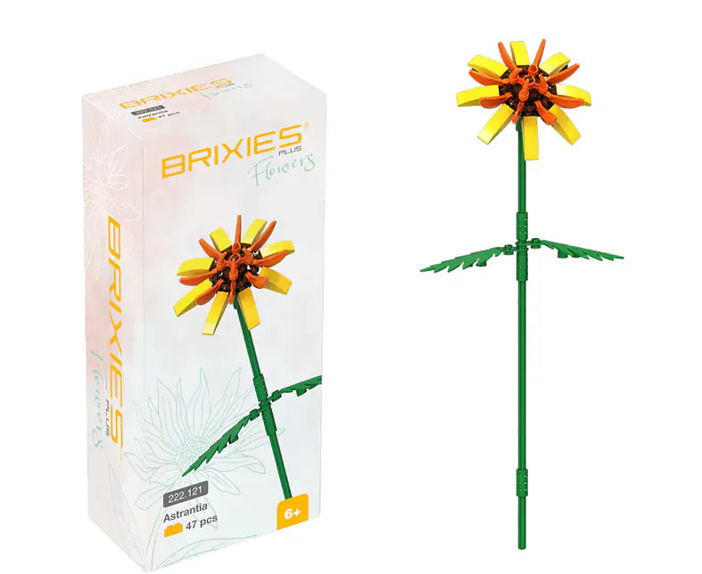 222121 Blume Astrantia gelb.png