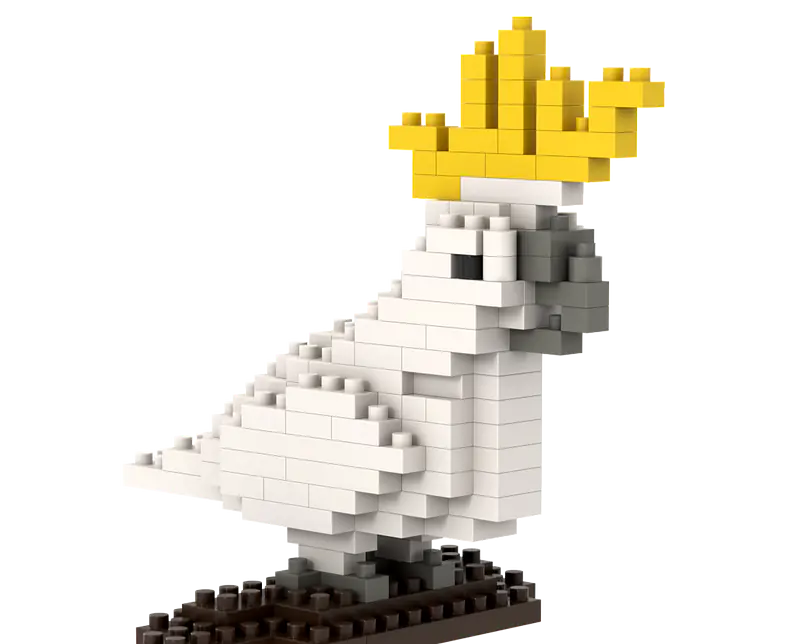 200.304_Kakadu_3.png