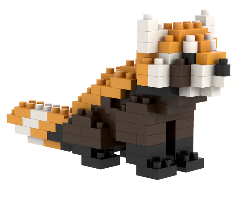 200.311_Roter_Panda_3.png