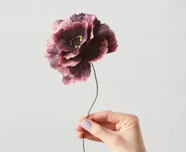 erubcjxzsdgyea7hs0i1_400x.webp