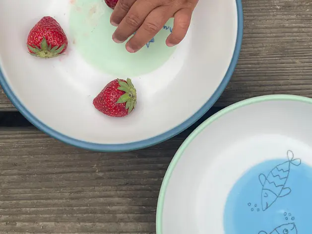 Kinderteller und Becher - Set