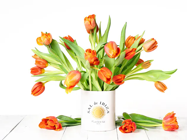 SAL de IBIZA Home & Living