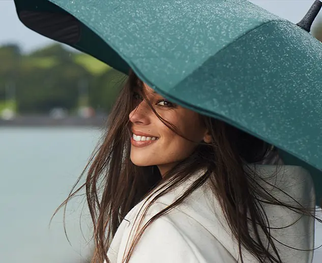 H-Green-classic-mega menu.jpg