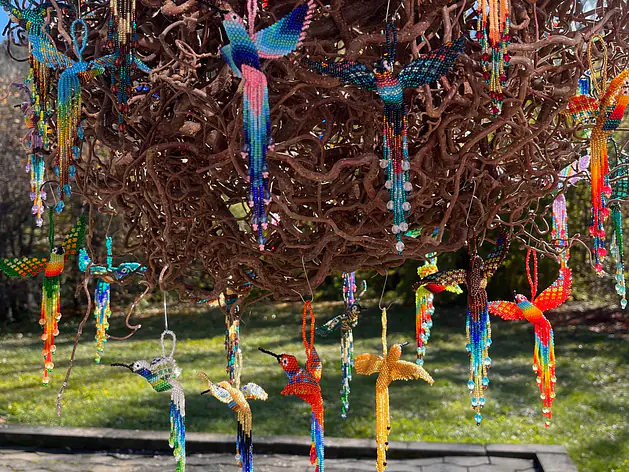 Glücksbringer-Kolibris