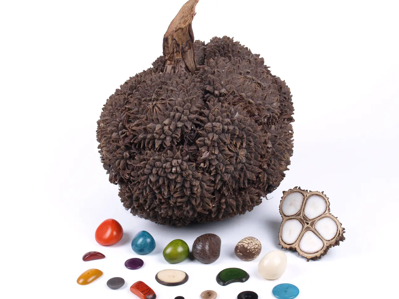 TAGUA-Schmuck