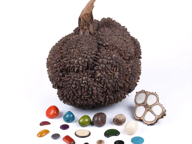 TAGUA-Schmuck