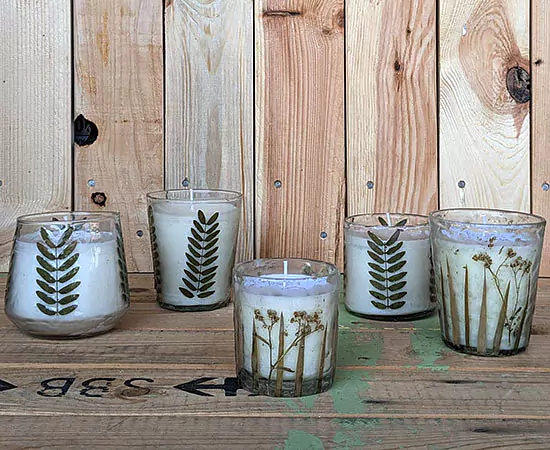 Bohemian Collection