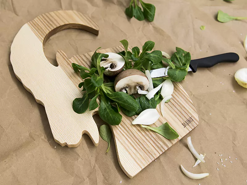 PLANCHE DE TÊTE DE BOUQUETIN