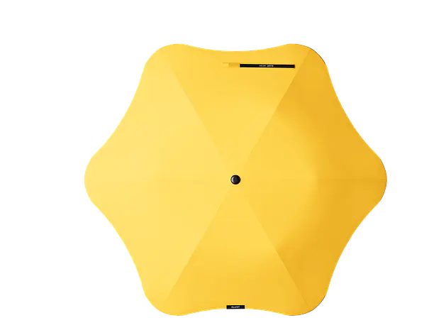Schirm