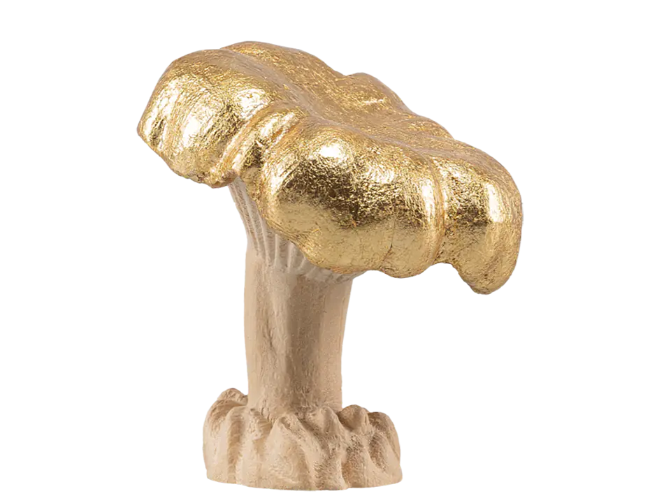 CHANTERELLE DÉCORATIF