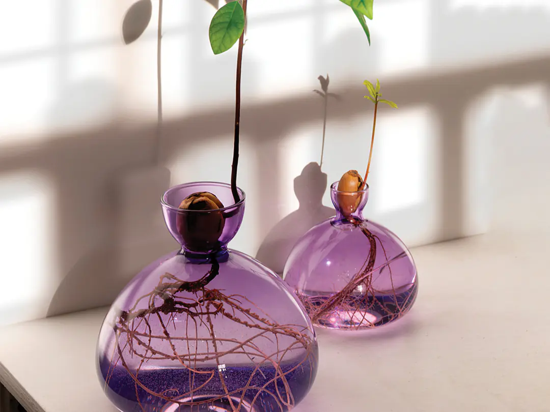 Avocado Vase and Acorn Vase
