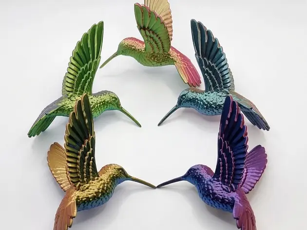 Kolibris