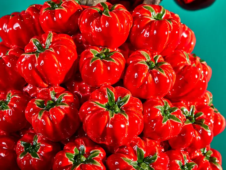 Vase Tomate