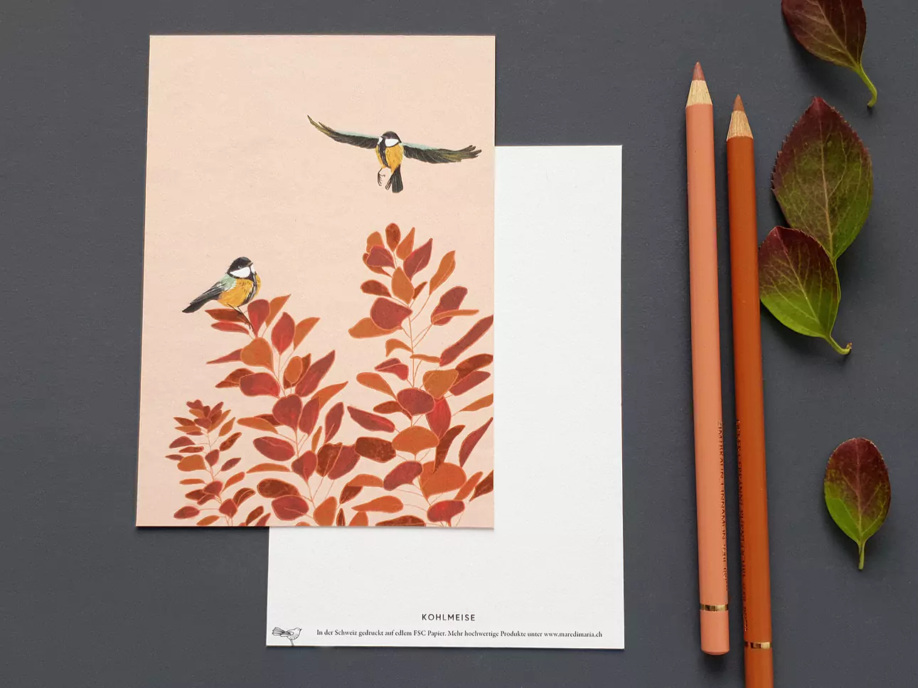 Postkarte Kohlmeise