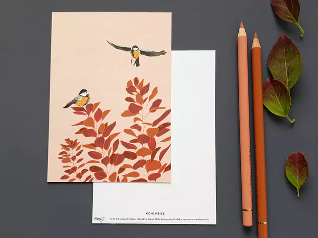 Postkarte Kohlmeise