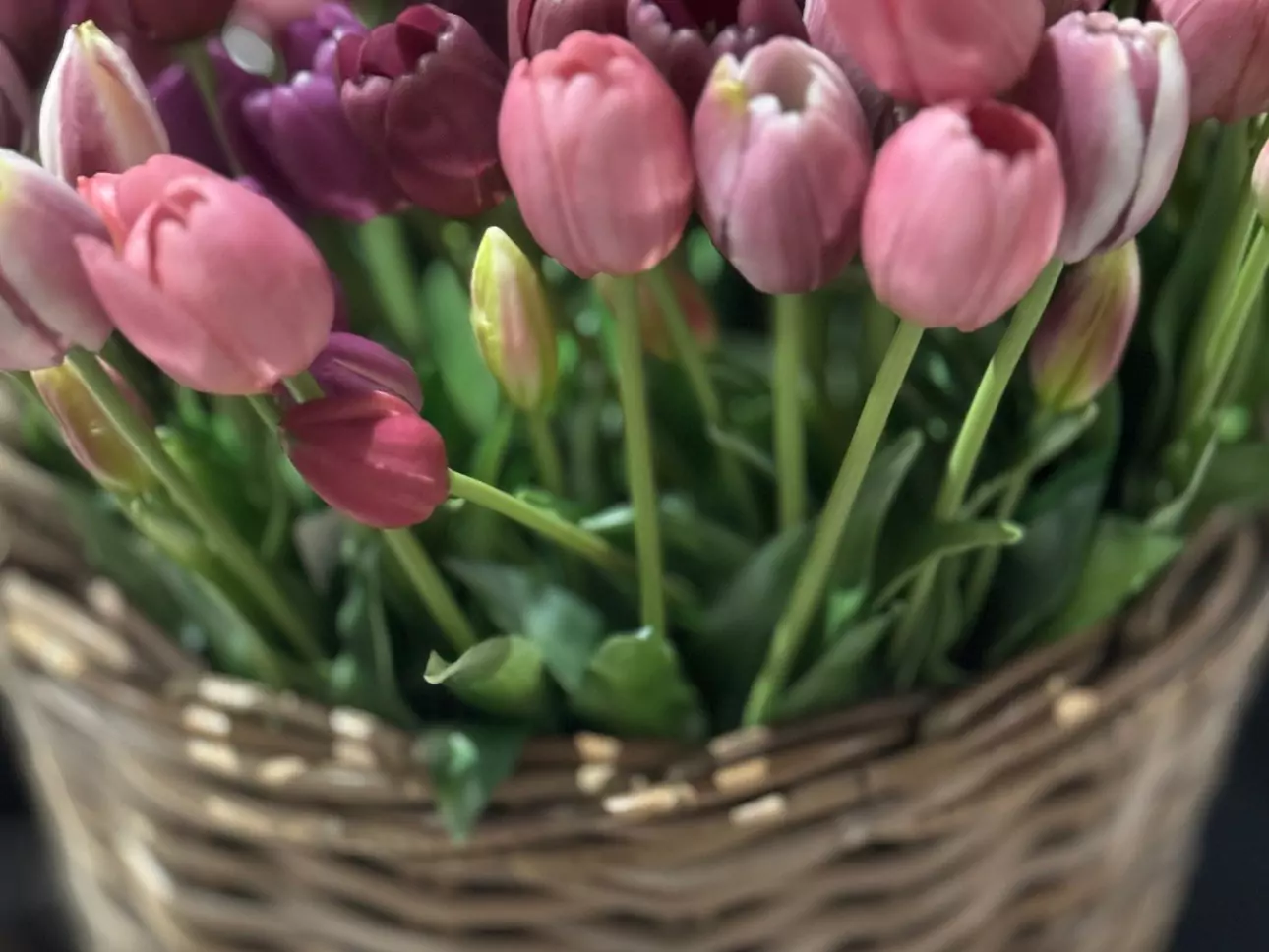 Kunstblumen: Tulpen