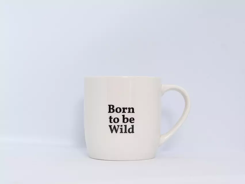 AGMUG0027 Born to be wild R.jpg